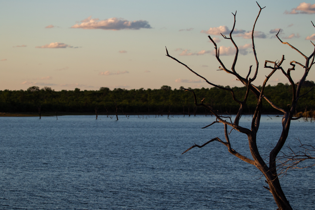 North to South: A Kruger&nbsp;Odyssey