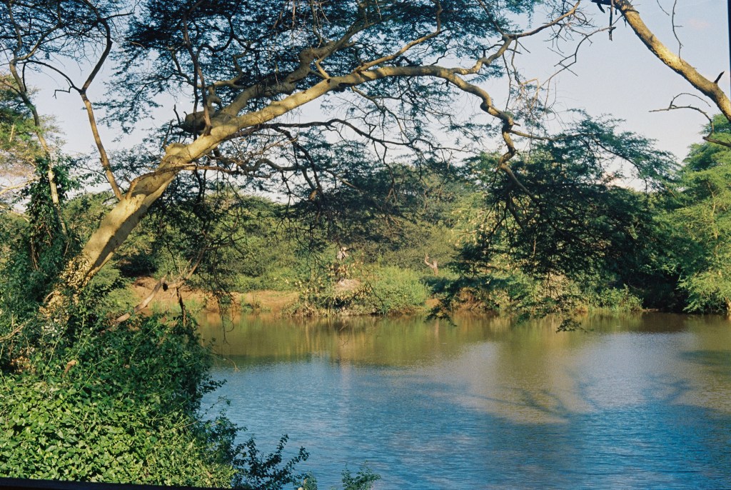 There and Back&nbsp;Again